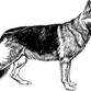 DFKA e.V.